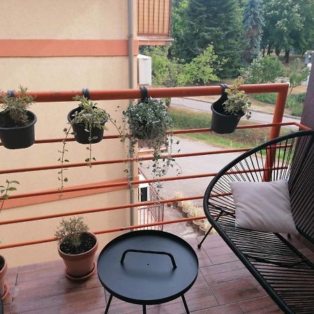 Koko Apartman Vrnjačka Banja Dış mekan fotoğraf