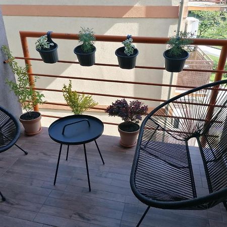 Koko Apartman Vrnjačka Banja Dış mekan fotoğraf