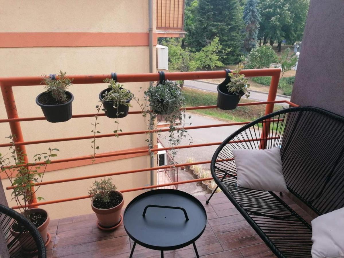 Koko Apartman Vrnjačka Banja Dış mekan fotoğraf