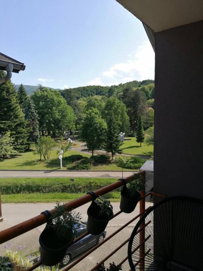 Koko Apartman Vrnjačka Banja Dış mekan fotoğraf